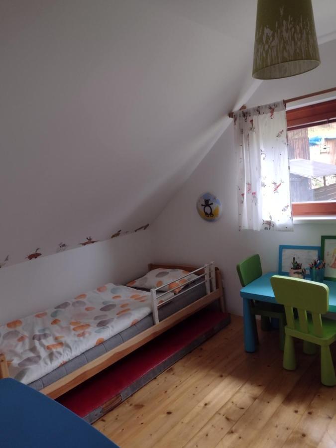 Chata Dvirka Zelezny Brod Eksteriør bilde